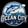 Ocean city lures  - Home