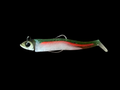 Redline minnow